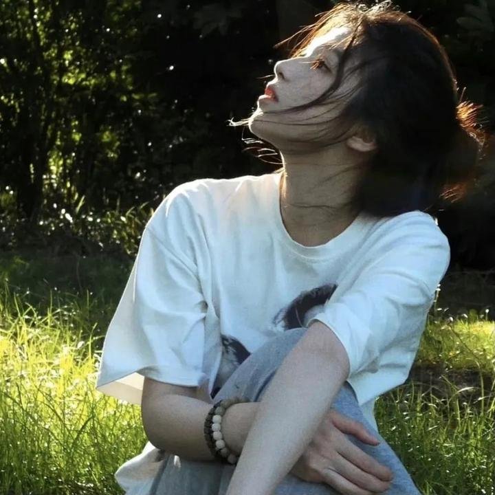 风的旅程